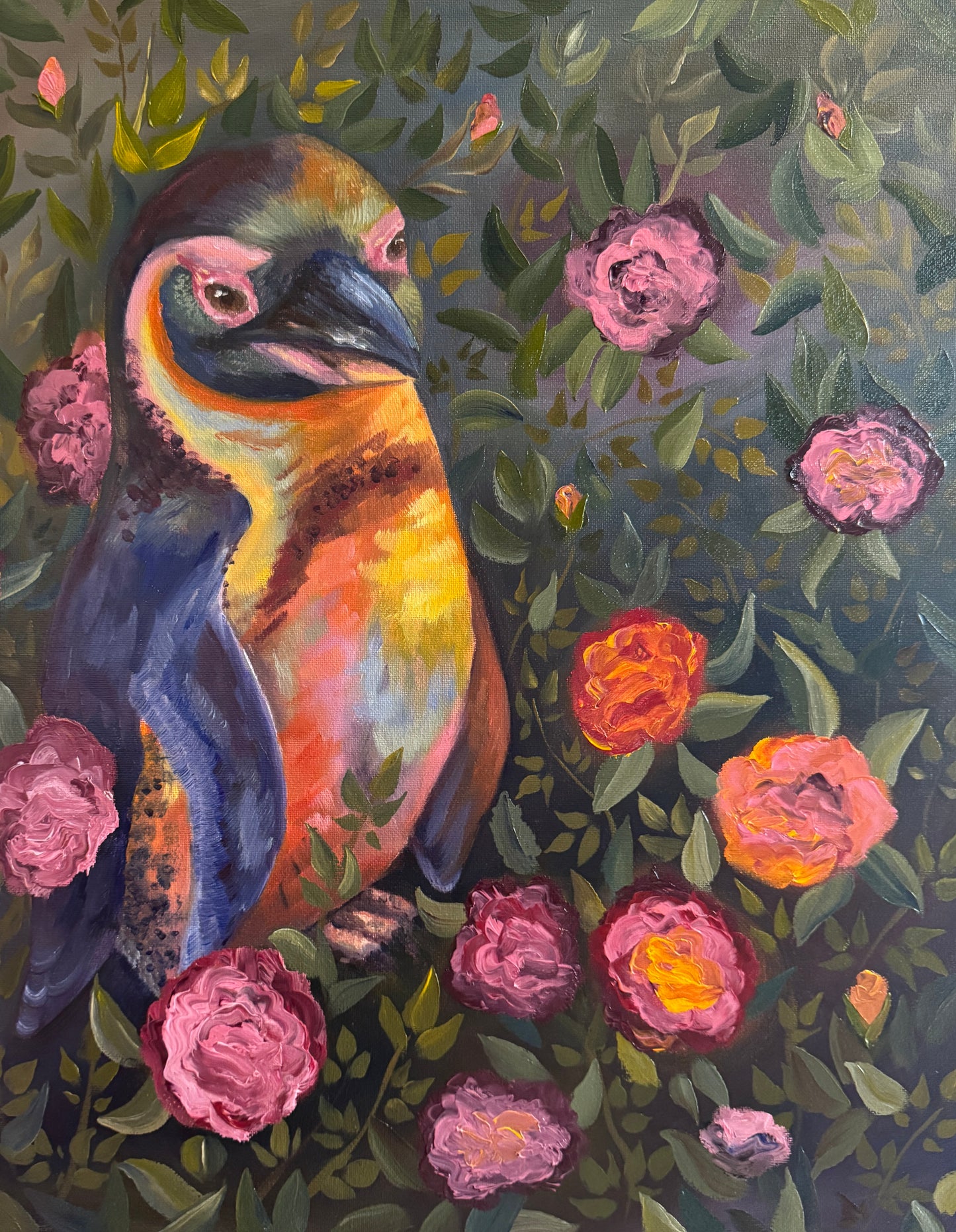Limited Edition Prints- Rainbow Humboldt Penguin