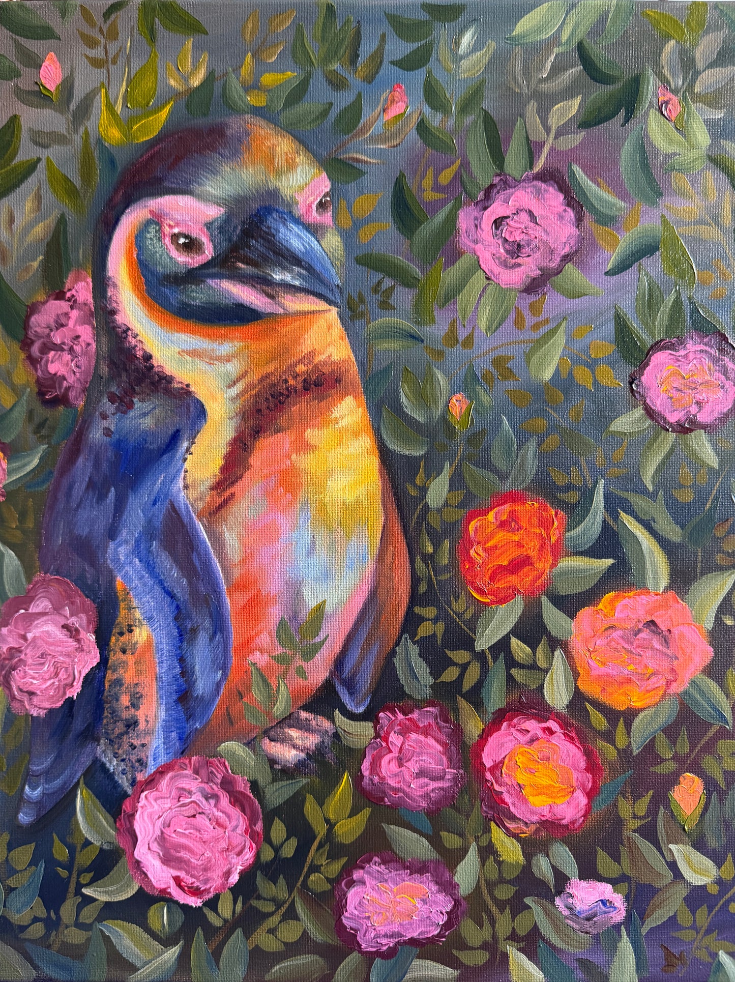 Rainbow: Humbolt Penguin In The Rose Garden