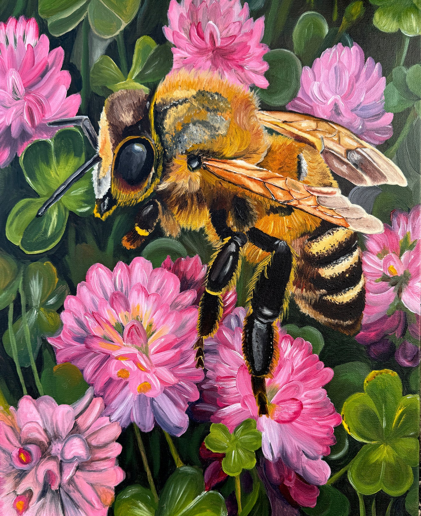 Limited Edition Prints- Bee with Clover