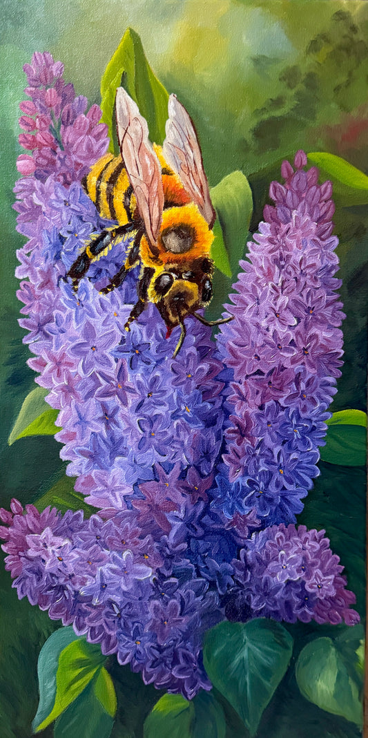 Limited Edition Prints- Bee with Lilac